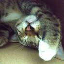 用户67447795的头像-日本！日本语