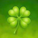 心星-好孕帮用户