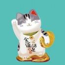 ddddd3的头像_知识产权零距离网（IP0.cn）