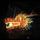 南极娃娃鱼 的头像