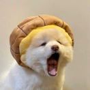 哥大步行楼转租&房东直租