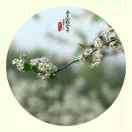 moming