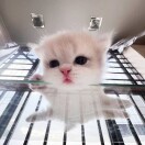 g147258693的头像-心动次元