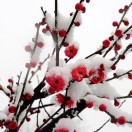 wx_鑫升发艺染烫38