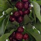 大凉山西山区偌美食品店