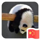 yaanyk的头像-STL下载网_3D打印模型网_3D模型库_3D打印模型素材_3D打印机