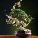 张华盛13004395161