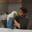 阴阳怪气的小黑的头像-梦马考研