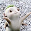张先生的头像