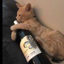 银沐鑫?的头像-cg男孩