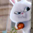 Zero_tu的头像-棉花糖会员站