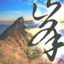 MEDAOLEE的头像-熵减岛