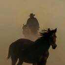 顺势而为-前行者团队