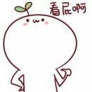 袁先生的头像