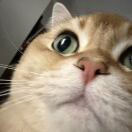 user_pjkl893yyhb9tteb member profile picture