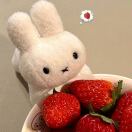 Eclipse转租&房东直租