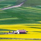 张开焮塔机租赁