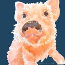 Keybridge Tower转租