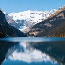 皮皮丁的头像-熵减岛