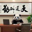 熊心壮志