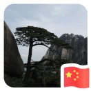 杜云岗的头像-小微之家 | 汪斌带你开公司 | 老汪洞察