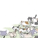 电话不测风云的头像-工欲善其事，必先利其器宋辞云创