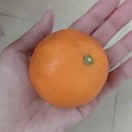 广州小青年