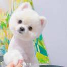 wx_宝贝的宝贝63