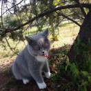 余音的头像-博士钣金 - www.bsbanjin.com