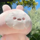 三七头像