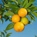 钱途似锦19137491593