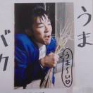 爱丁堡求租