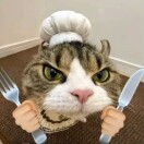 顾Alex的头像-熵减岛