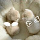 用户64249249的头像 - 校园论坛