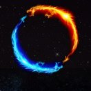 user icon