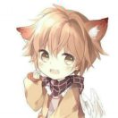 阳光