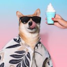 用户99932901的头像-秀琴曲谱网