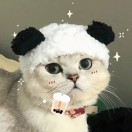 ?若水?