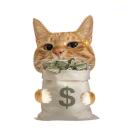 user_5pm8psaugzg1yv3d member profile picture