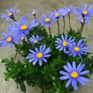 梁基菊18023886671