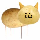 user_1qwb42h7cg7ytj90 member profile picture