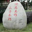 魏女士的头像