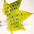 张先生的头像
