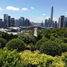 活力激情