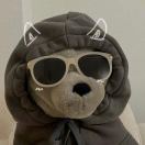 七月清风的头像-博士钣金 - www.bsbanjin.com