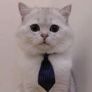 听说网名太长会被狗咬-前行者团队