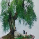 鸟儿摇_20250630193827