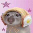 user_ipg30i9wog82zdyv member profile picture