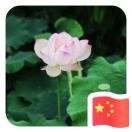 静心