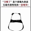 程先生的头像
